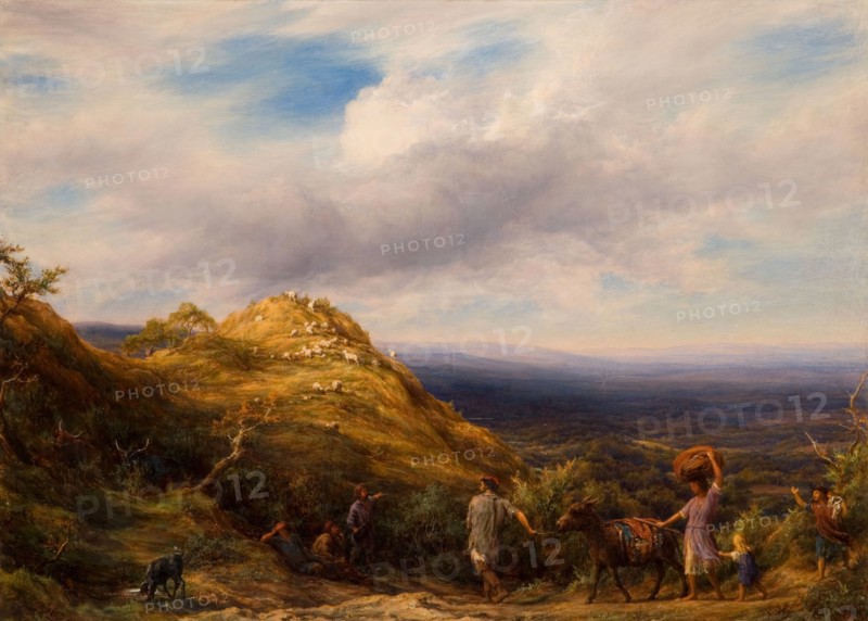 A Wooded Valley and Hill, 1865.