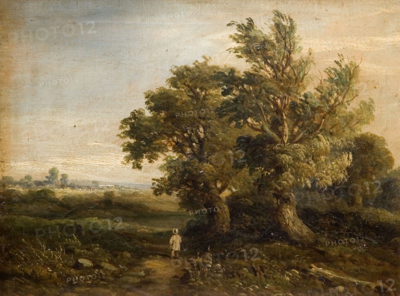 Landscape With Trees, 1863. Attributed to Samuel Rostill Lines.