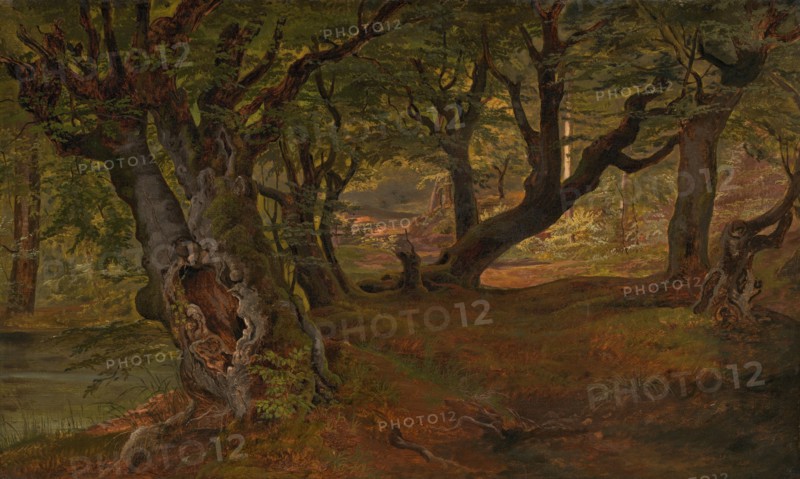 View of Bregentved Forest, Sjaeeland, mid 1830s.