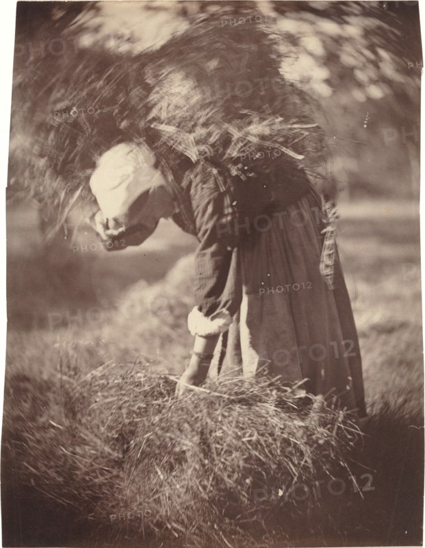 Peasant, c. 1870.