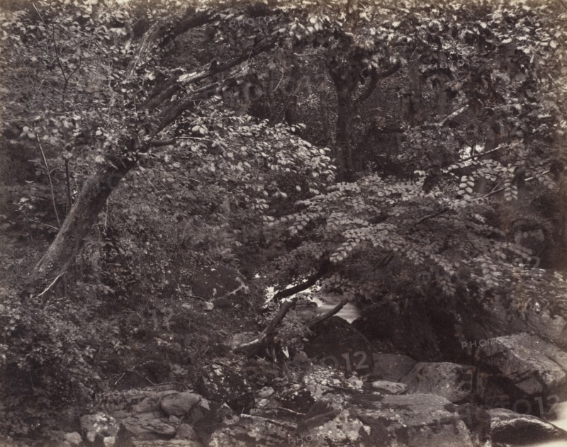 Glen at Lynmouth, 1860s.