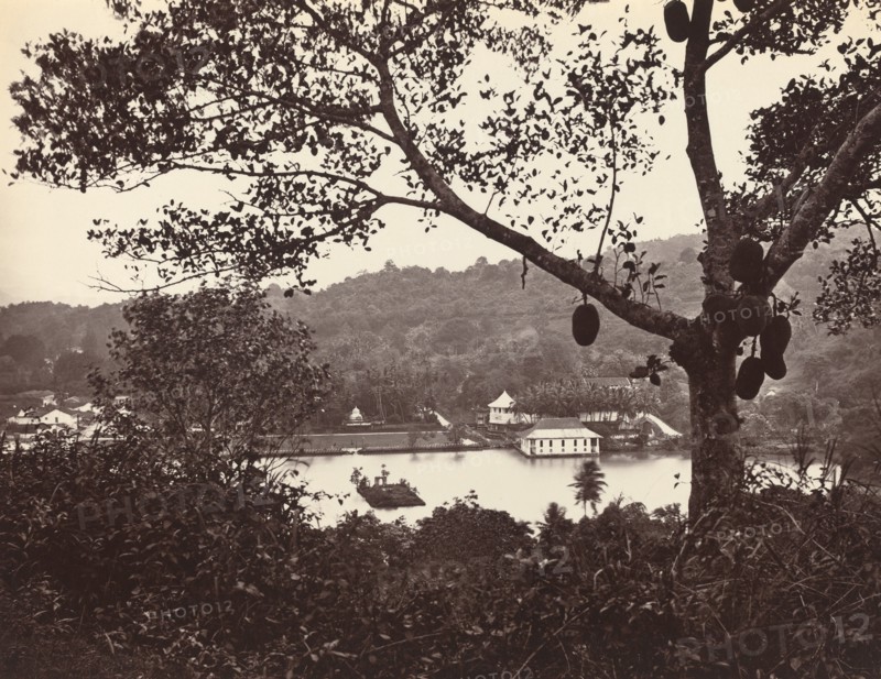 A Peep from Upper Lake Road showing Temple and Island with Park -- fruit tree in foreground, c.1865.