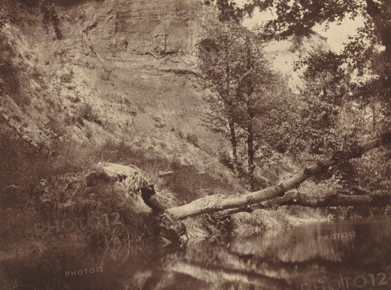 Riverbank, c. 1855.