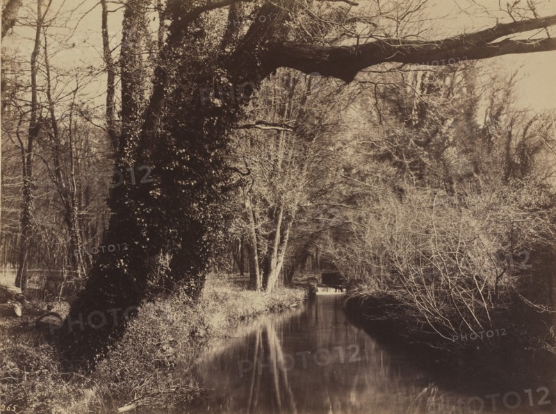 Parc de Courances, late 1850s.