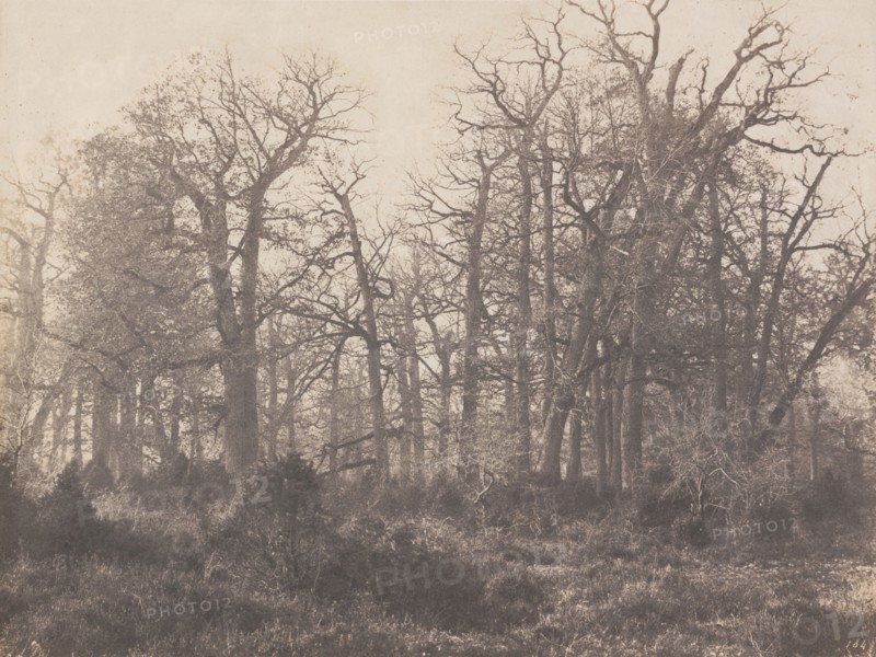 Carrefour de l'Epine, early 1860s.