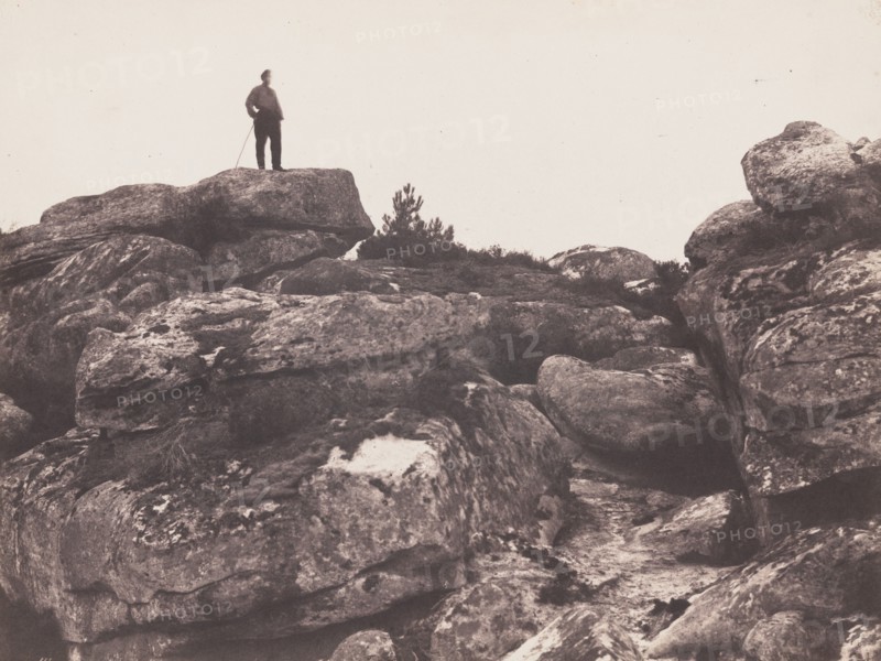 Gorges de Franchard - Forêt de Fontainebleau (Franchard Gorges ? Fontainebleau Forest), October 20, 1863.