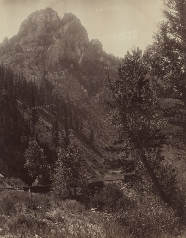 Untitled, c. 1884.