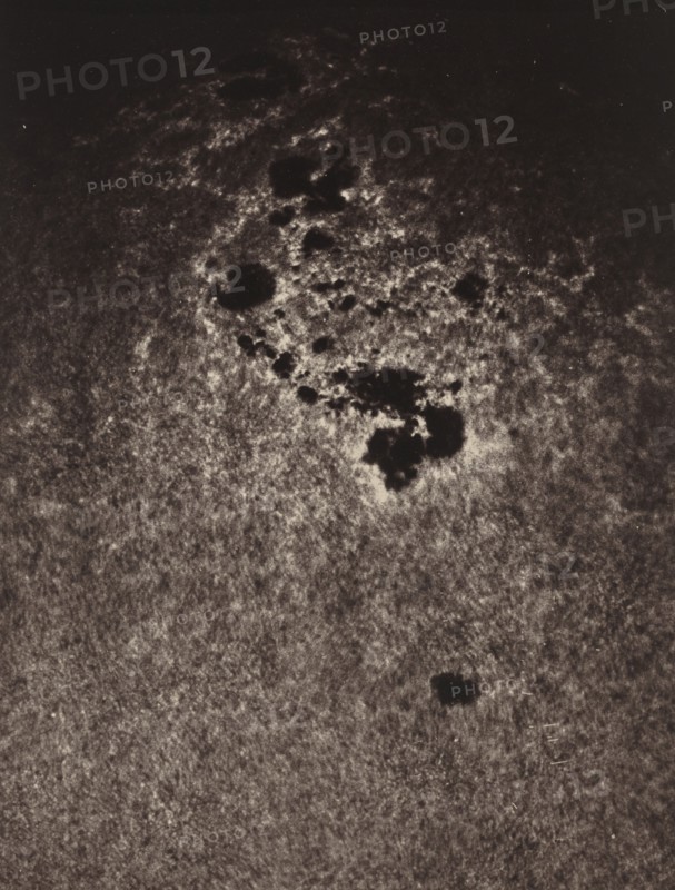 Untitled (Study of the Sun's Surface), 1893.
