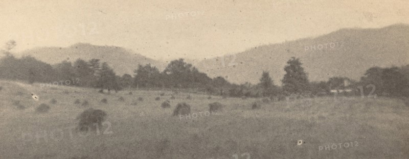 Landscape with trees and mountains, c. 1900.