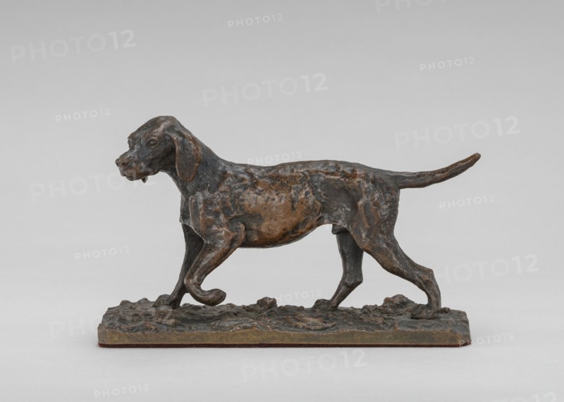 Pointer, 19th century.