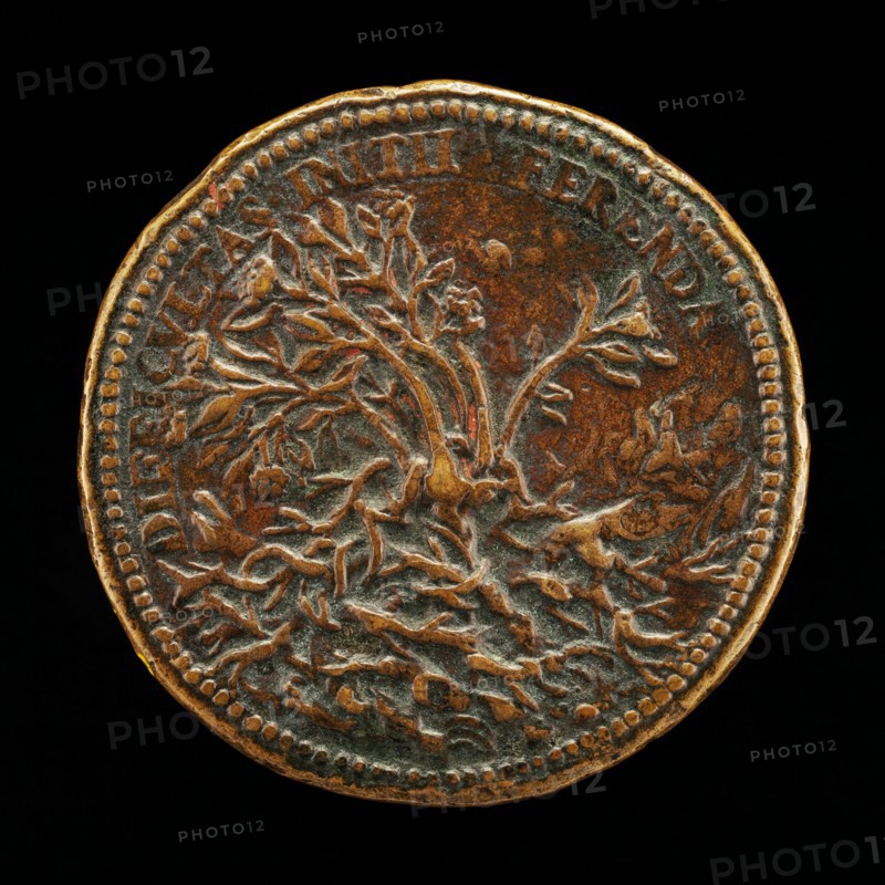 Flowering Shrub Growing through Thorns [reverse], c. 1570.