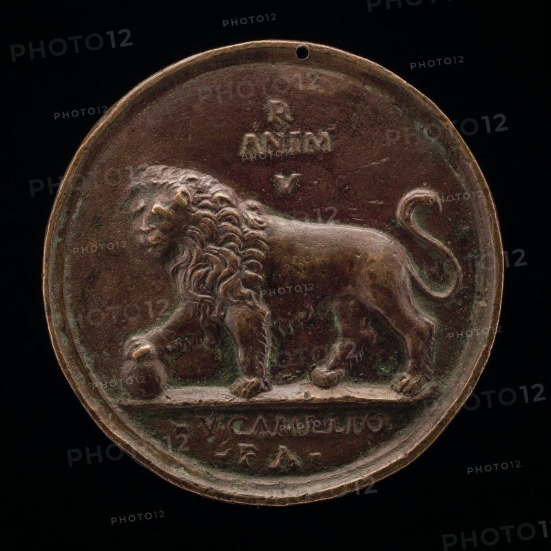 A Lion.