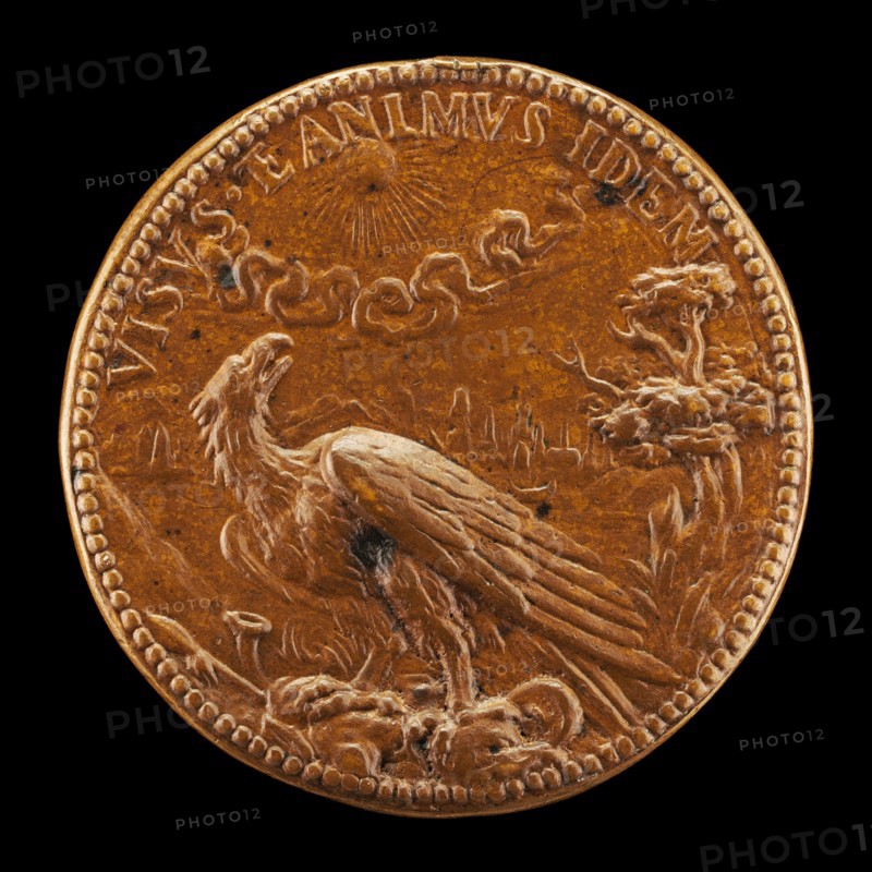 Eagle Looking at the Sun [reverse], 16th century.