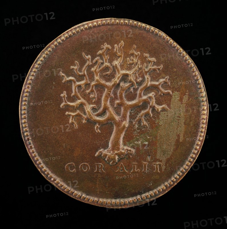 Stalk of Branching Coral [reverse], 16th century.