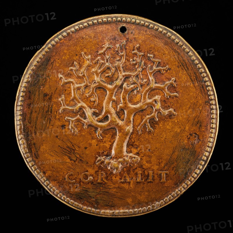 Stalk of Branching Coral [reverse], 16th century. Probably Italian.