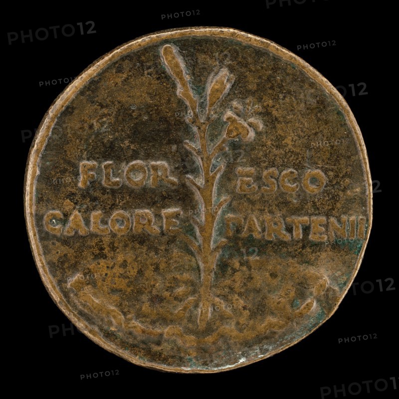 Lily and Inscription [reverse].