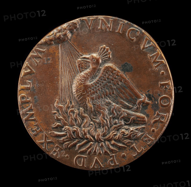Phoenix on a Pyre Looking at the Sun [reverse], c. 1485.