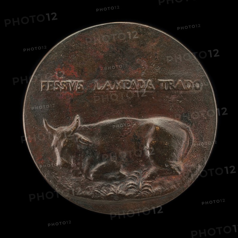 Reclining Bovine [reverse].