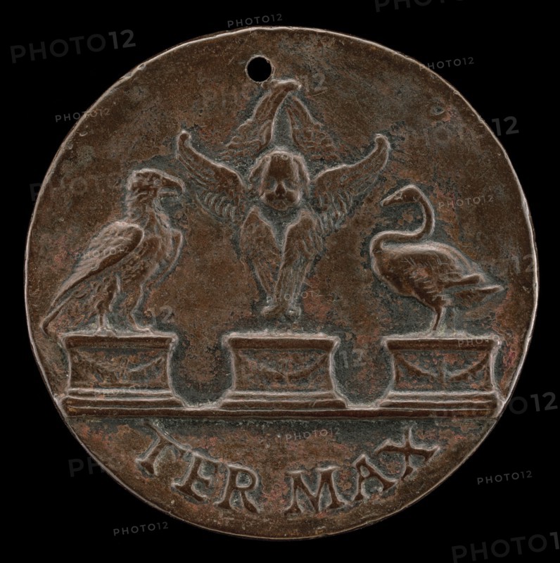 Cherub, Swan, and Eagle [reverse], c. 1513.