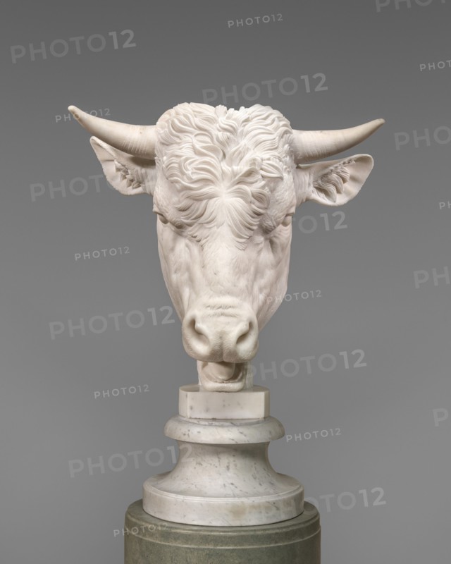Head of a Bull, 1824.
