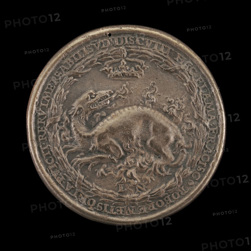 Salamander in Flames [reverse], 1537.