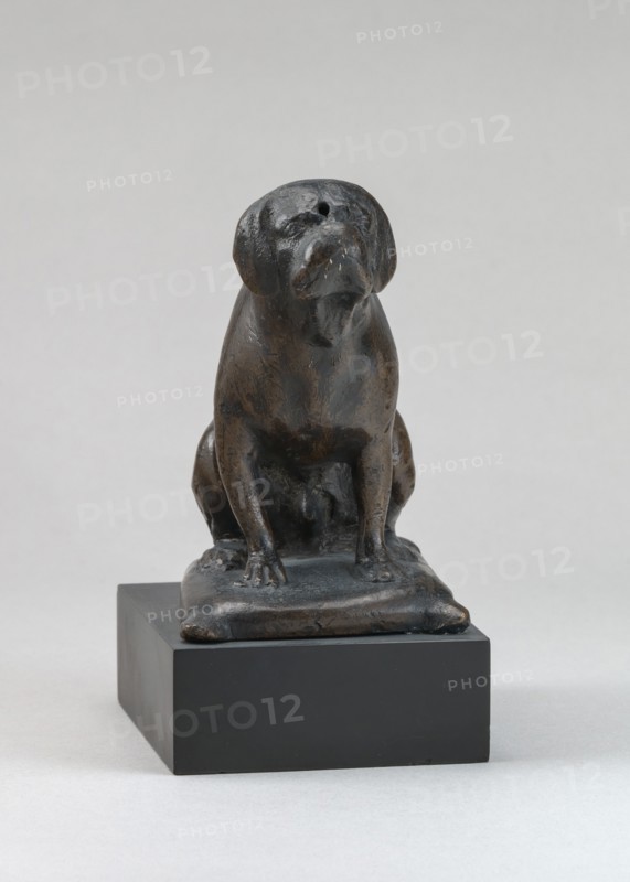 A Dog, 16th century.