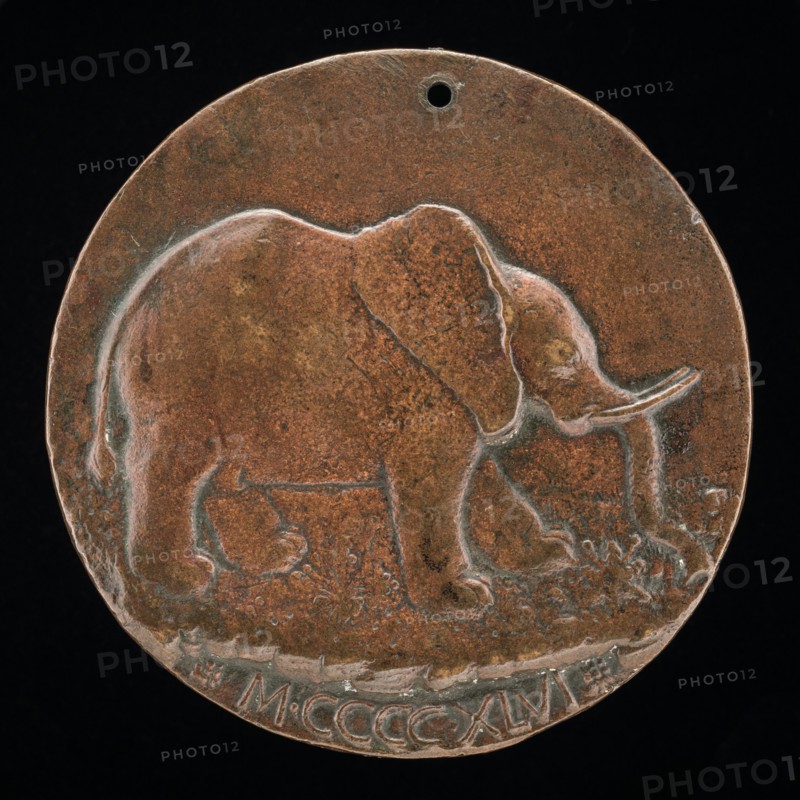 The Malatesta Elephant in a Meadow [reverse], 1446.