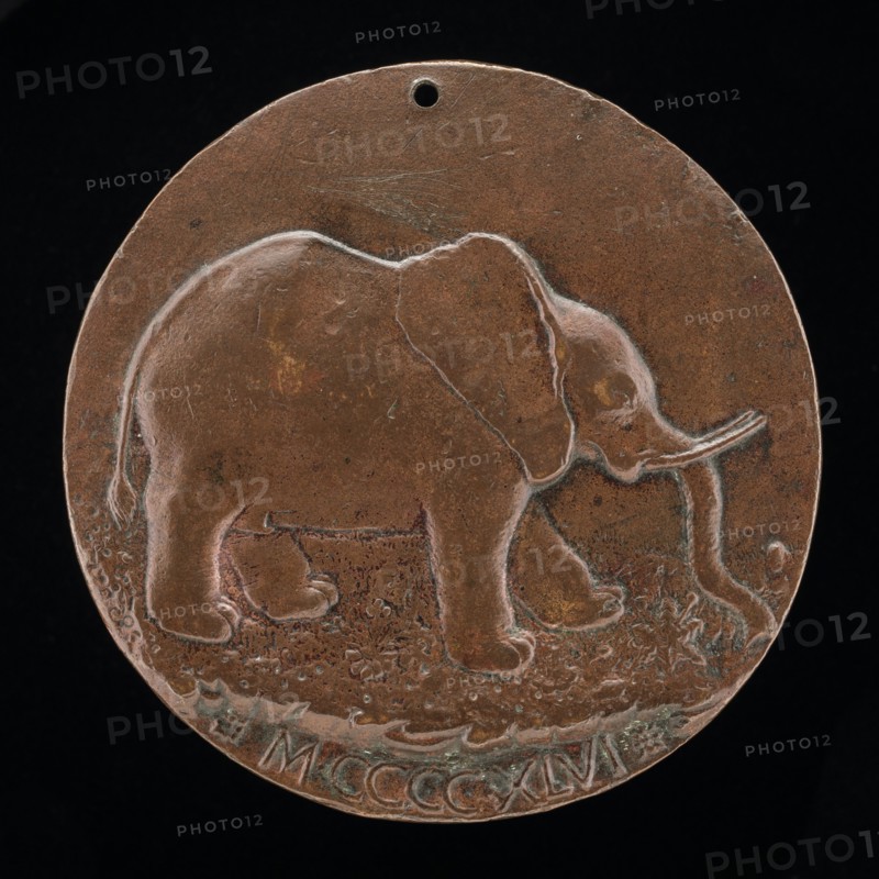 The Malatesta Elephant in a Meadow [reverse], 1446.