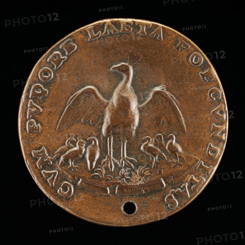 Pea-hen with Six Young [reverse], c. 1540.