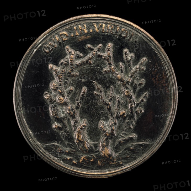 Leafless Branches [reverse], 1739/1744.
