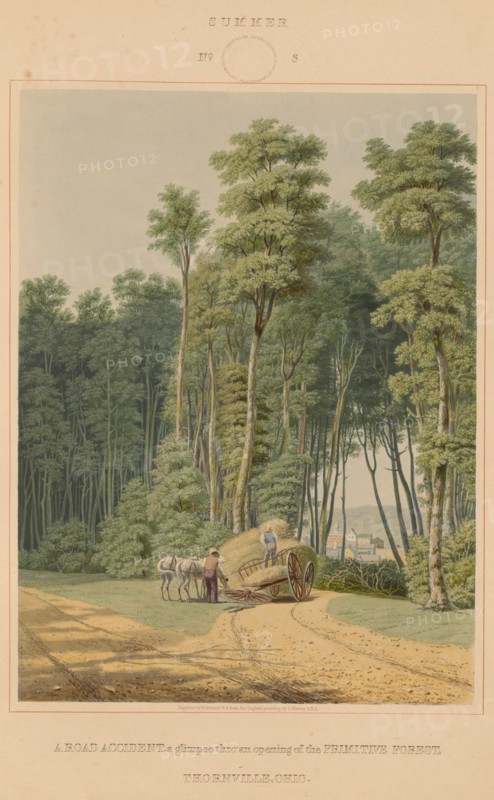 Summer--A Road Accident. A glimpse thro' an opening of the Primitive Forest. Thornville, Ohio, 1841.