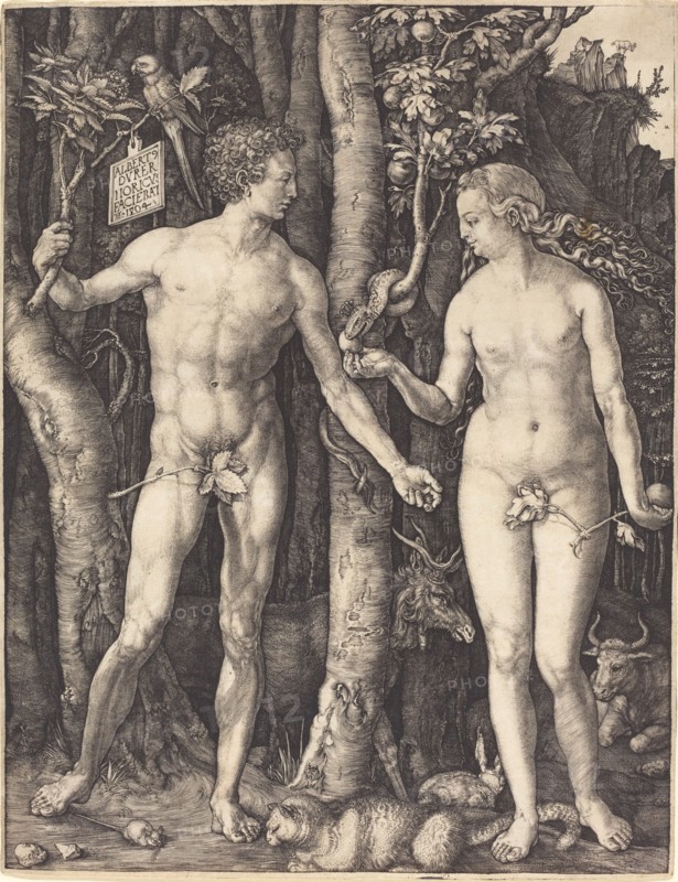 Adam and Eve, 1504.