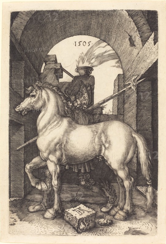 Small Horse, 1505.