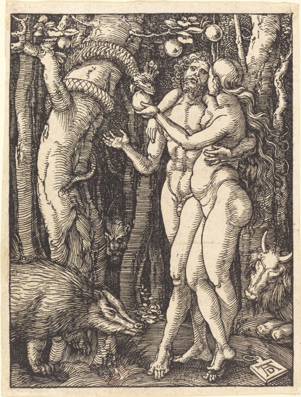 The Fall of Man, probably c. 1509/1510.