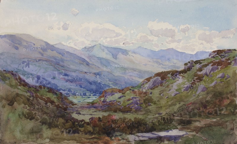 From above Pont-y-Pant, 1899.
