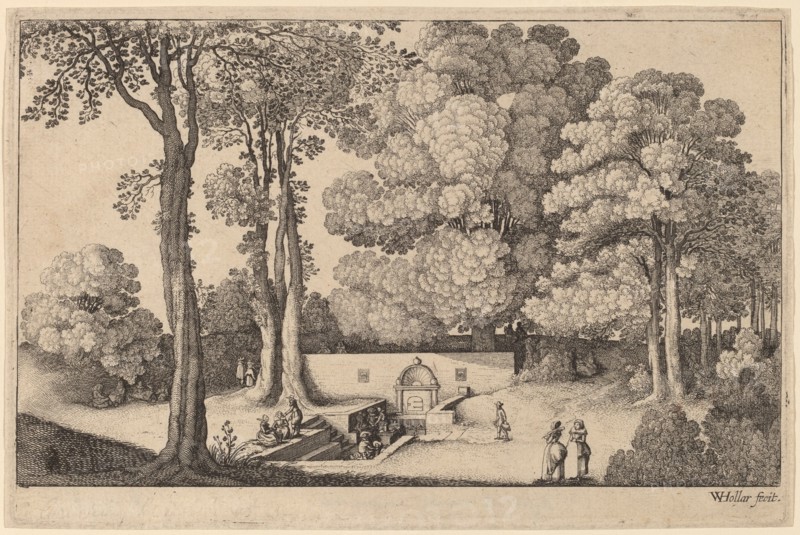 The Mineral Spring.