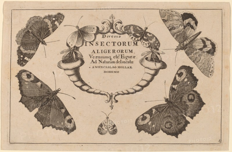Title Page.