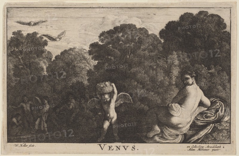 Venus.