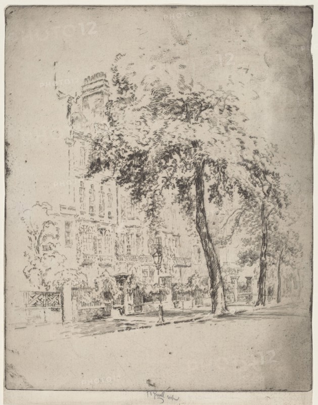 Big Tree, Cheyne Walk, 1906.