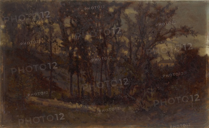 Untitled (forest scene, fallen tree in foreground and house in background), 1873.