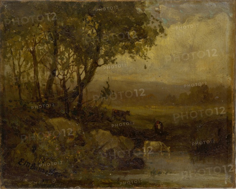 Untitled (landscape, riverbank, three cows).