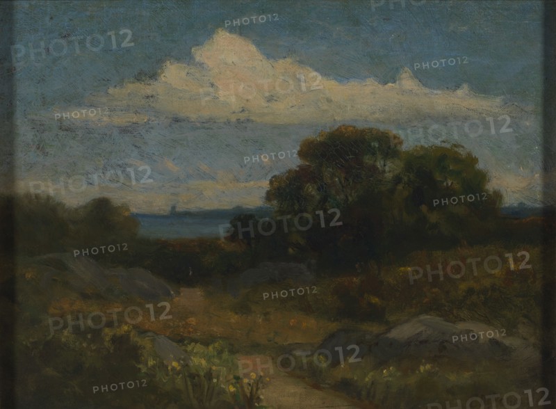 Landscape (trees and rocks by lake).