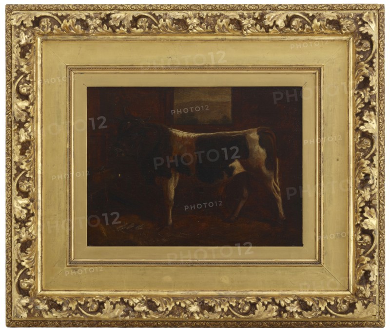 A Prize Bull, 1870.