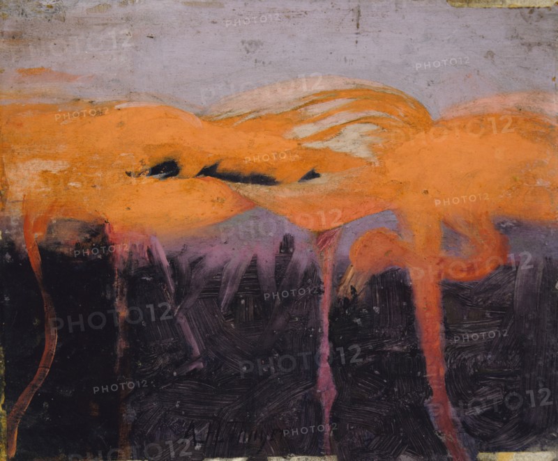 Red Flamingoes, study for book Concealing Coloration in the Animal Kingdom, ca. 1905-1909.