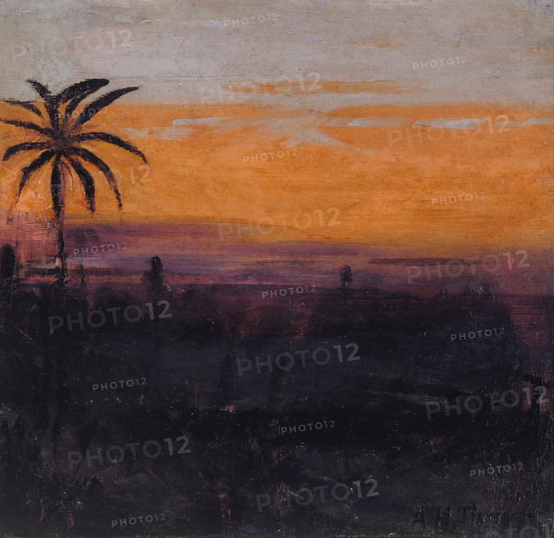 The Sky Simulated by Red Flamingoes, study for book Concealing Coloration in the Animal Kingdom, ca. 1905-1909.