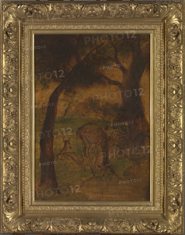 A Stag Drinking, ca. 1870s.