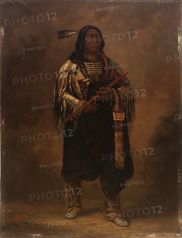 Tatanka (Buffalo), ca. 1887.