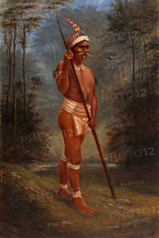 Zaparo Stock, ca. 1893.
