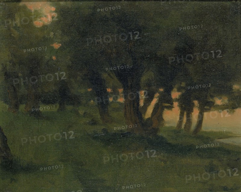 On the Banks of the Rhine, near St. Germain at Mont d'Or, 1878.