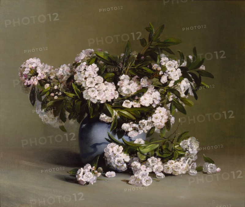 Mountain Laurel, 1888.